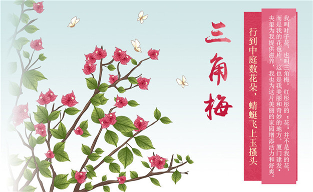新澳门全年免费原料网